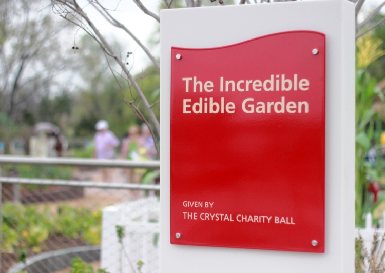Incredible Edible Garden